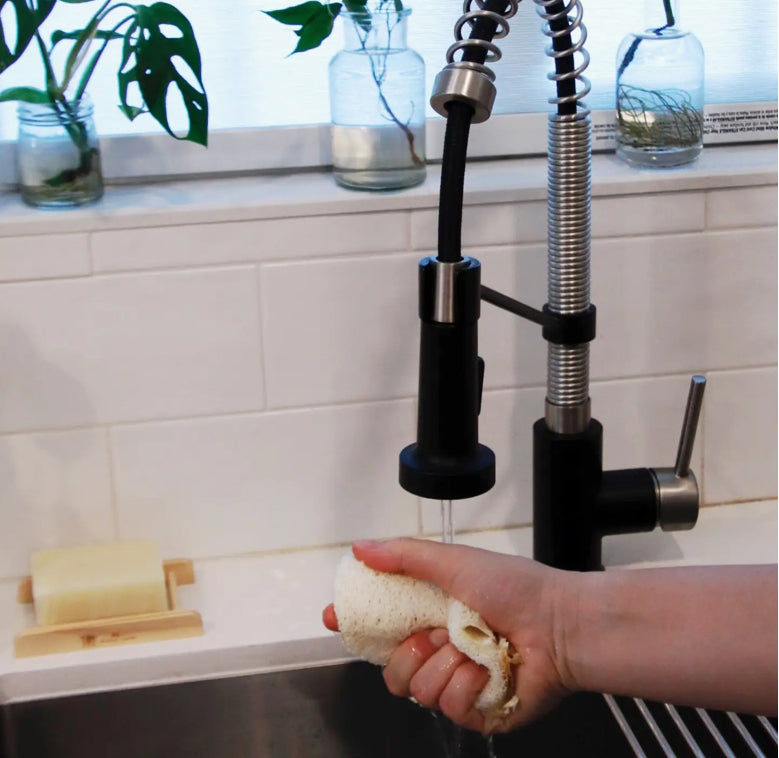 Eco Dish Sponge (Loofah)