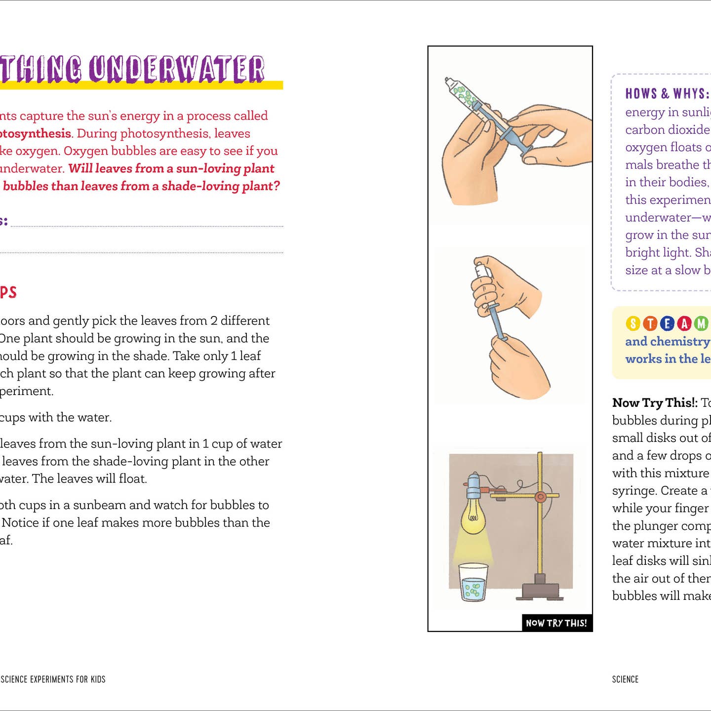 Awesome Outdoor Science Experiments For Kids - Book