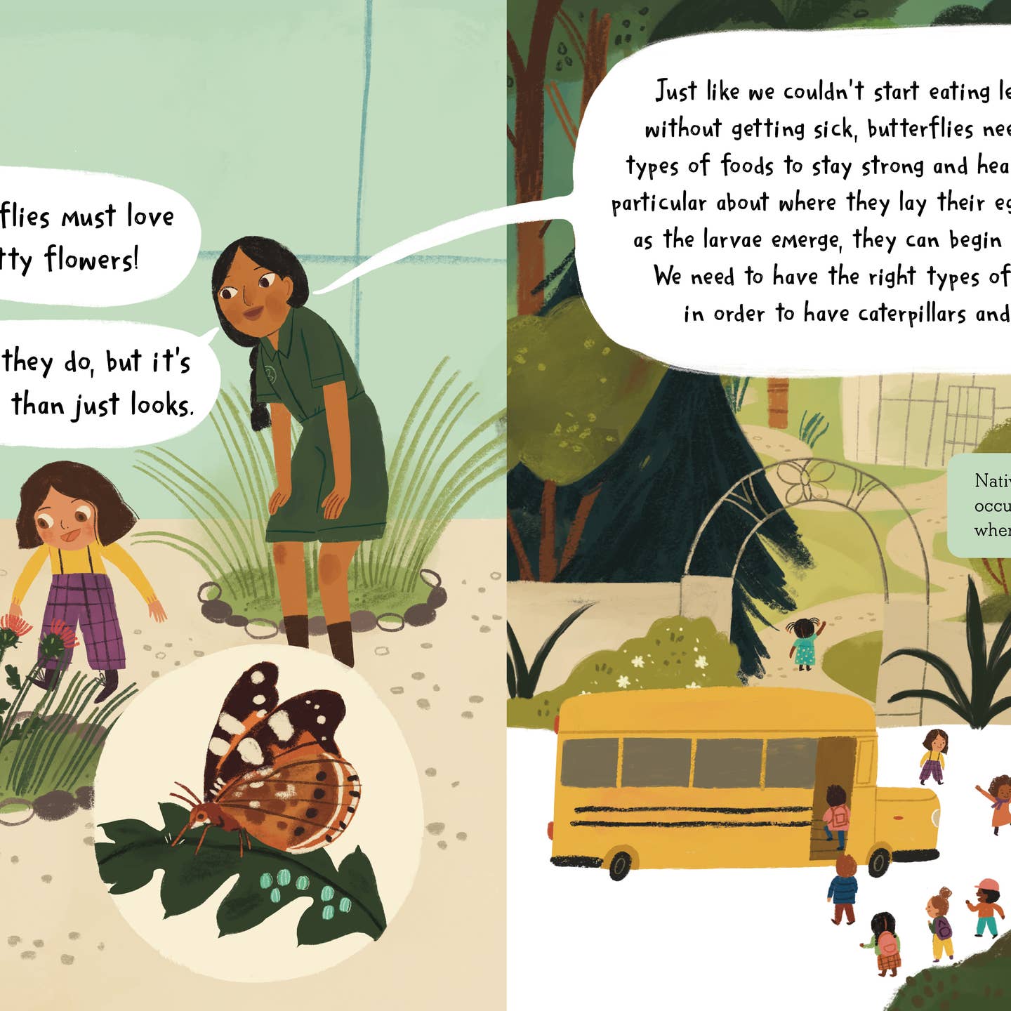 Story of A Butterfly, The - Book