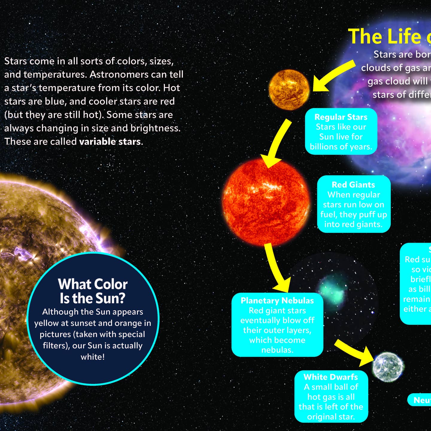 Kid's Guide To the Night Sky - Book