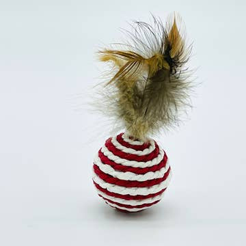 Cat Toy with Feathers