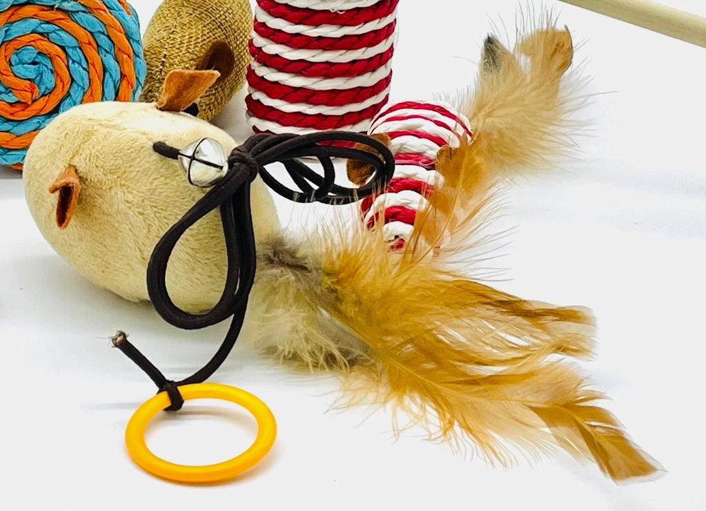 Teaser Wand Toy for Cat