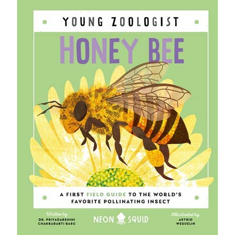Honey Bee: A First Field Guide - Book