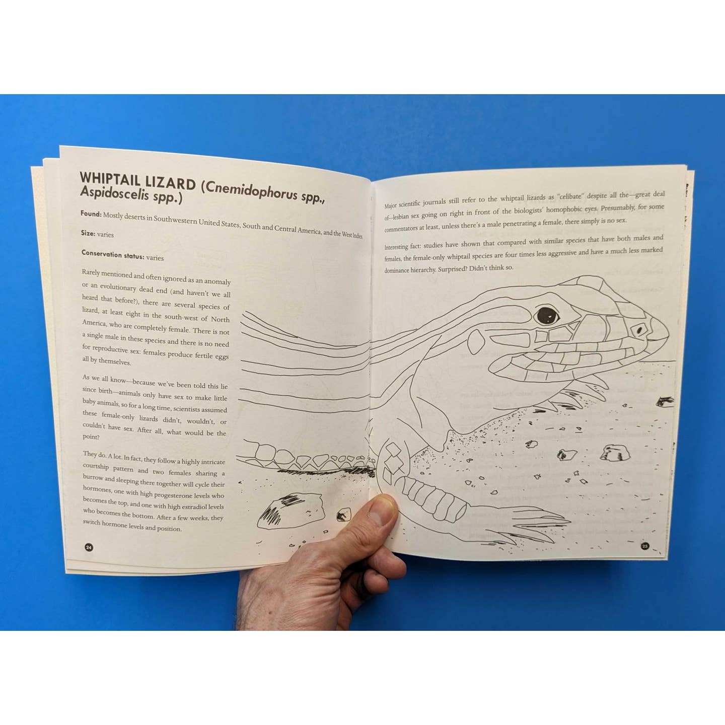 Queer Animals Coloring Book - Book
