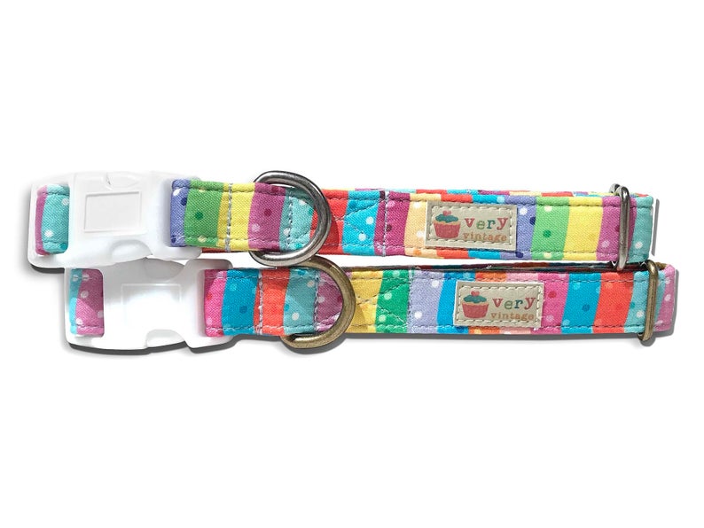 Carnival Stripe - Rainbow Pride Dog Collar