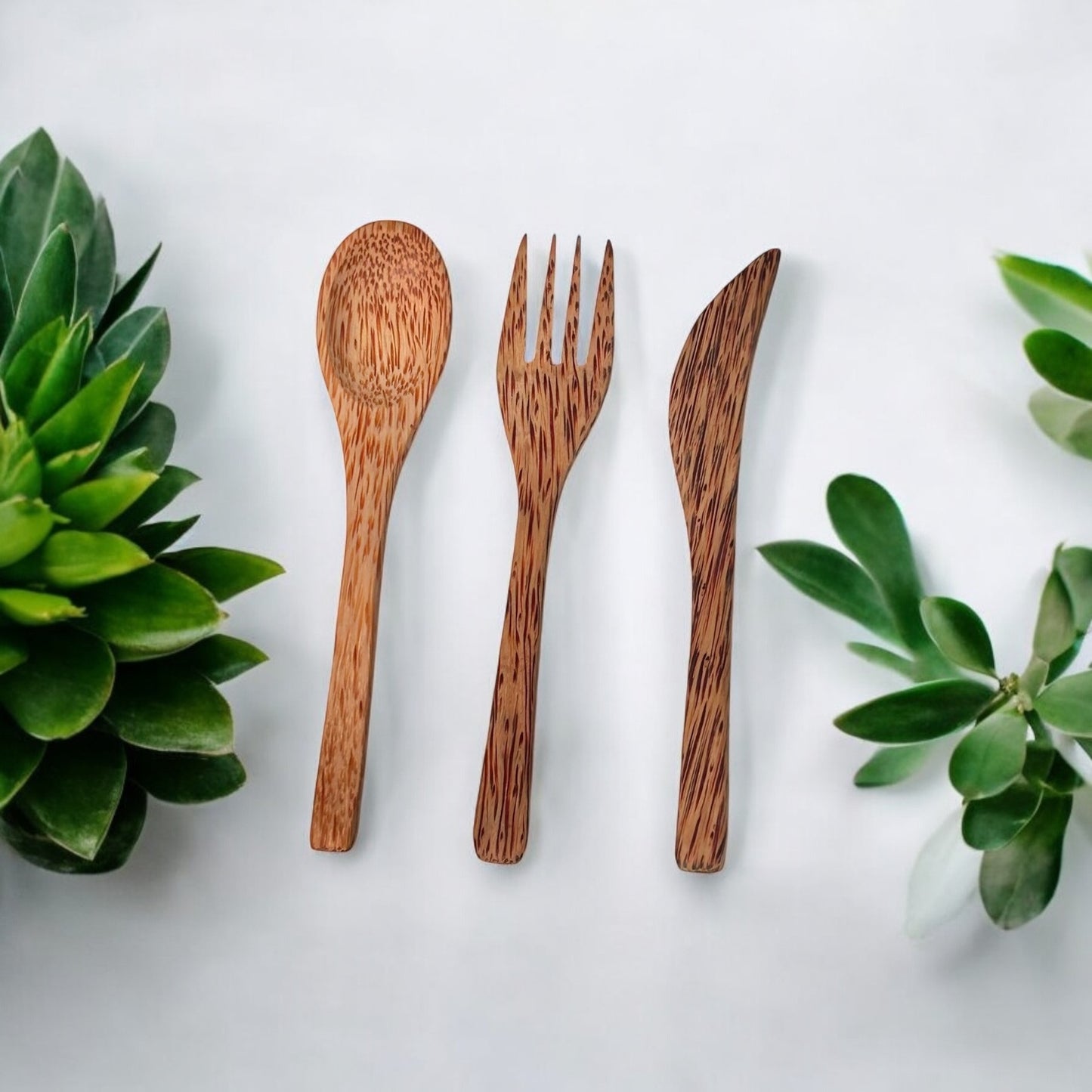 Coconut Utensils