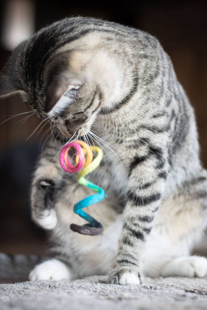 Spring Eco Toy