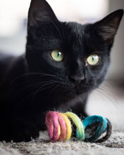Spring Eco Toy