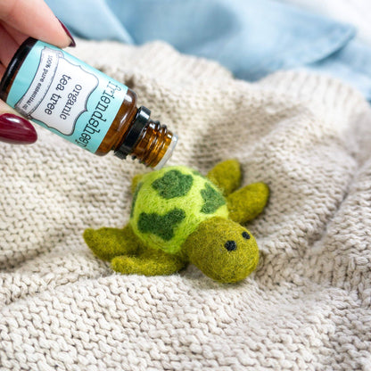 Felt Wool Sea Turtle Pet Toy / Freshener - Set of 3