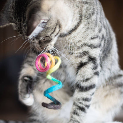 Cat Toy - Spring Eco Rainbow Toy