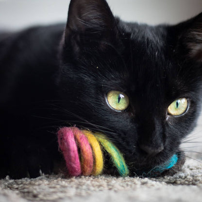 Cat Toy - Spring Eco Rainbow Toy