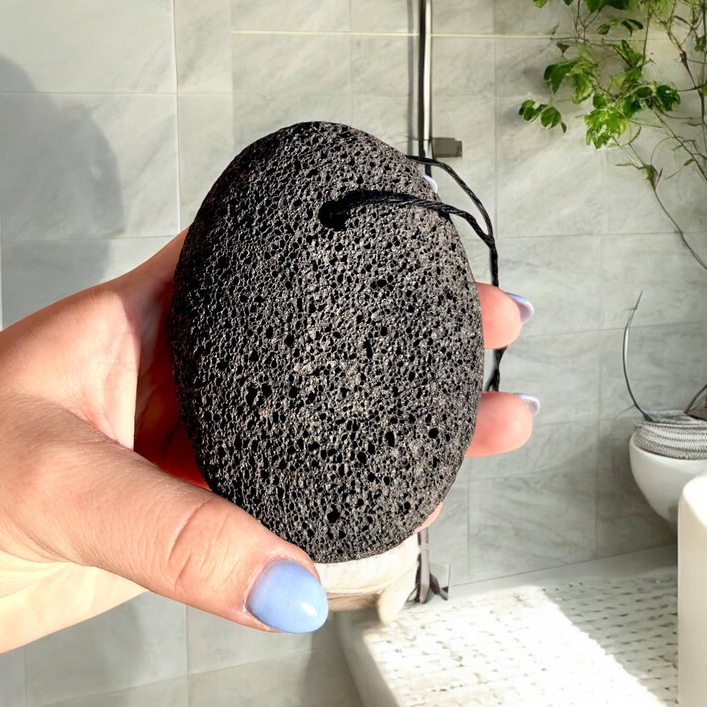 Pumice Stone