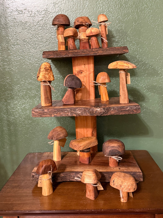 Wood Mushroom - Various sizes and Wood Type Hand Carved