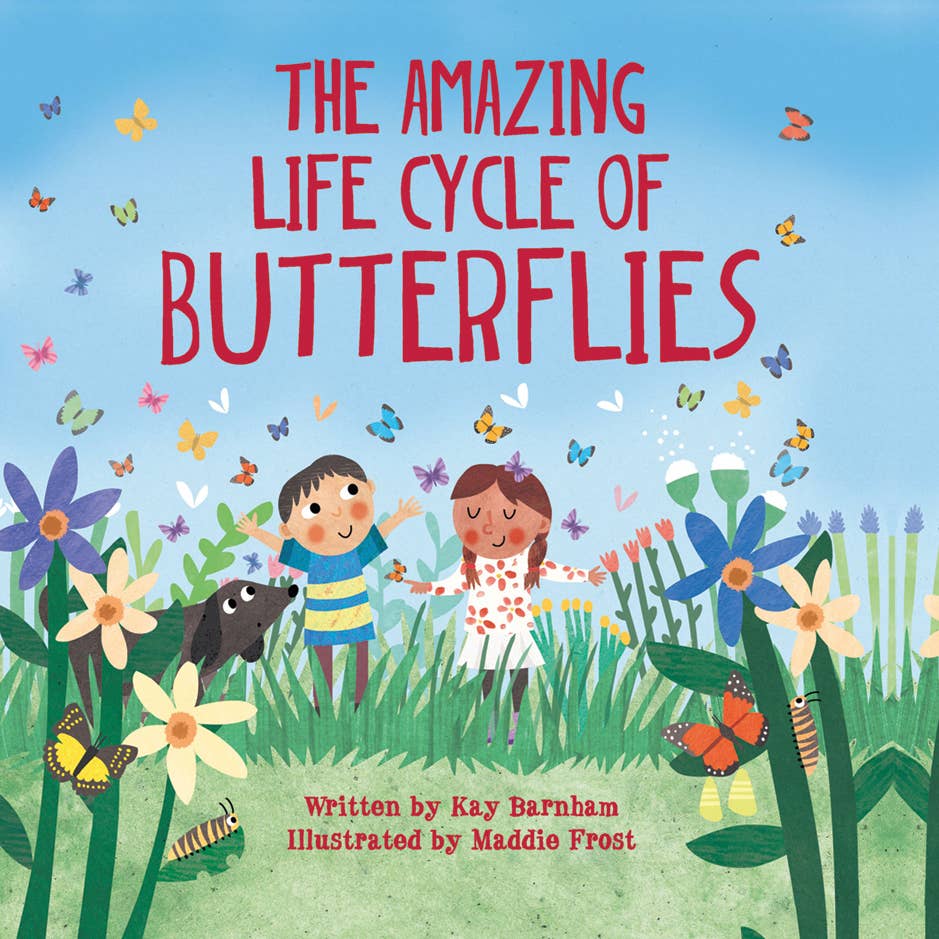 Amazing Life Cycle of Butterflies - Book