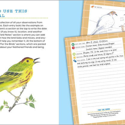 Bird Watching Book For Kids - Book
