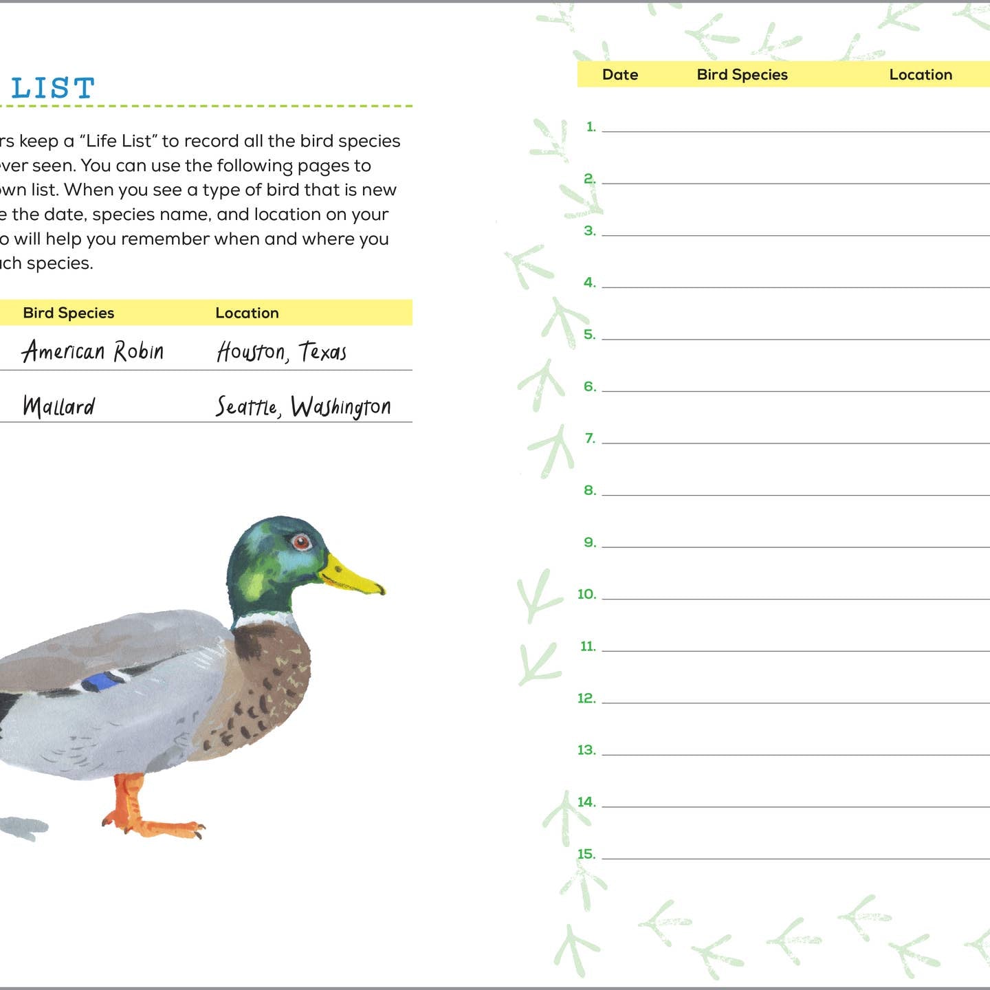 Bird Watching Book For Kids - Book