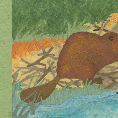 Over in the Forest - Book