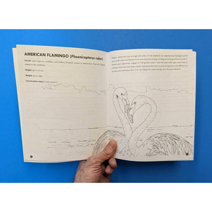 Queer Animals Coloring Book - Book