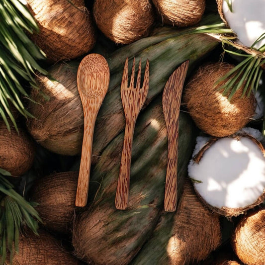 Coconut Utensils