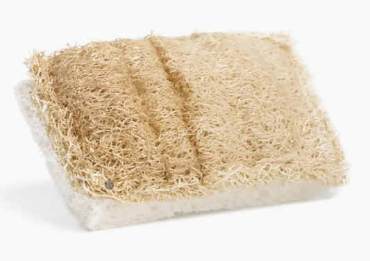 Dish Sponge - Cellulose Plant Fiber