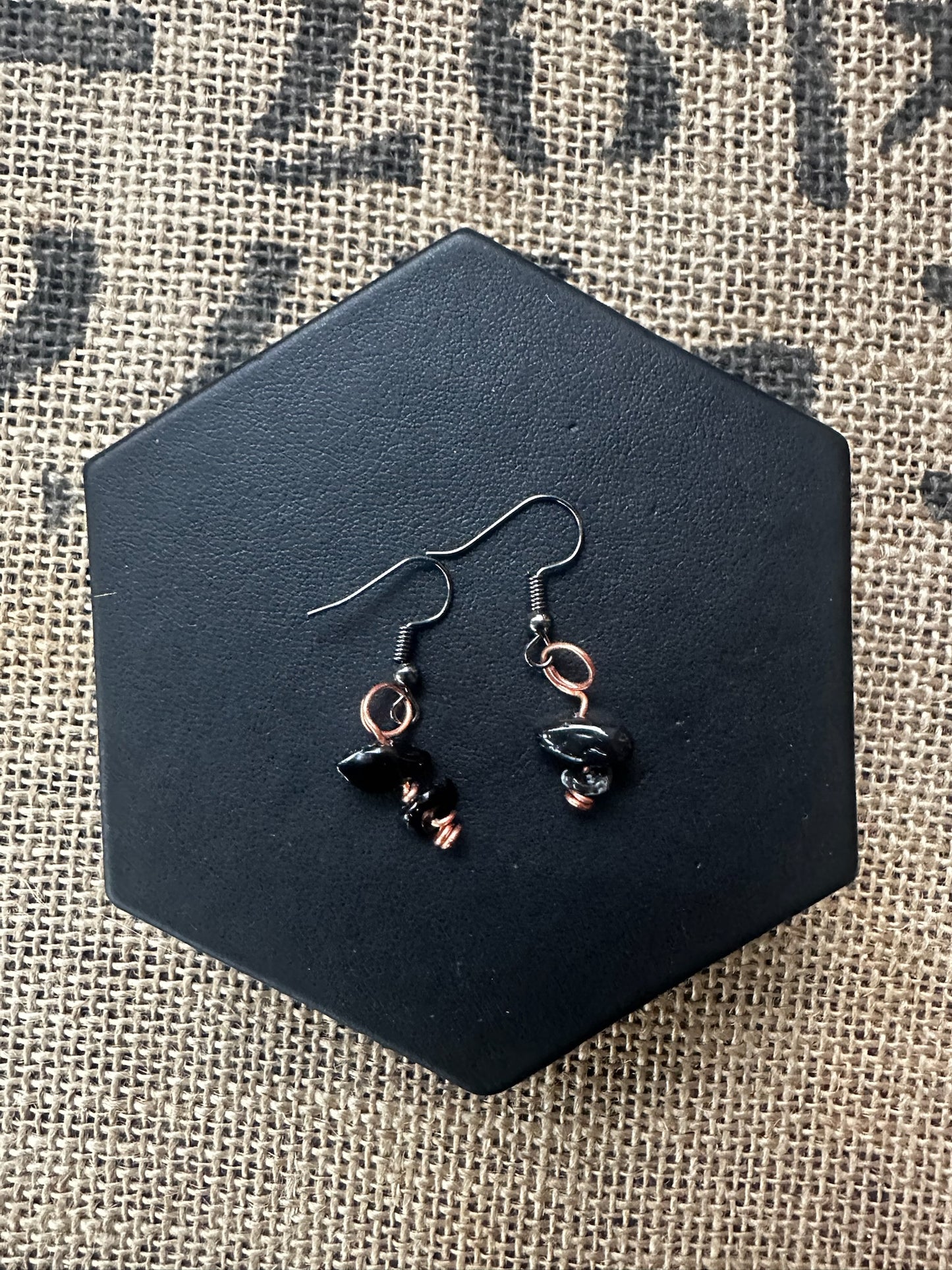 Earrings Black Stone Fish Hook Style