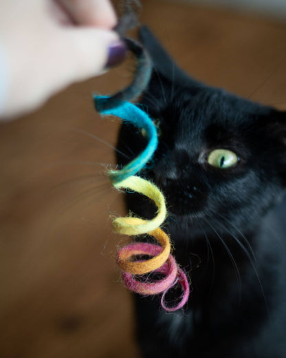 Spring Eco Toy