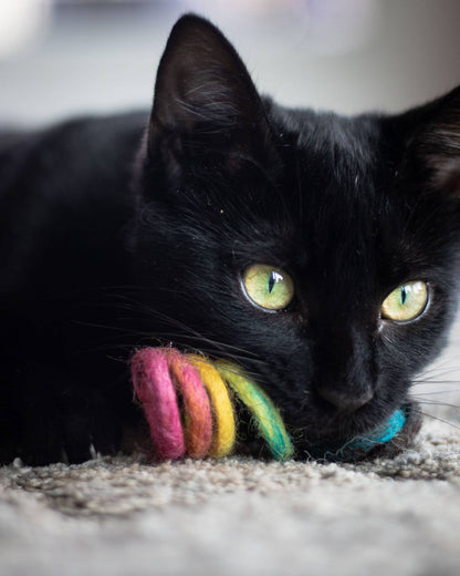 Spring Eco Toy