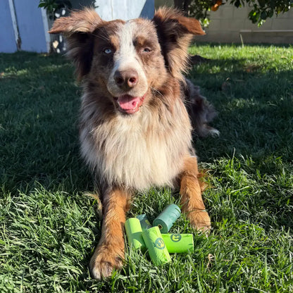 Compostable Dog Poop Bags - Single Rolls in Mixed